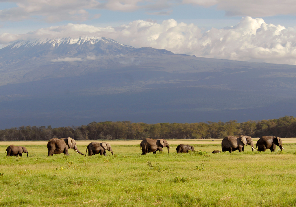 AMBOSELI