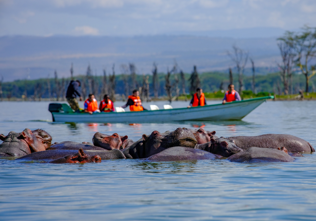 LAKE NAIVASHA
