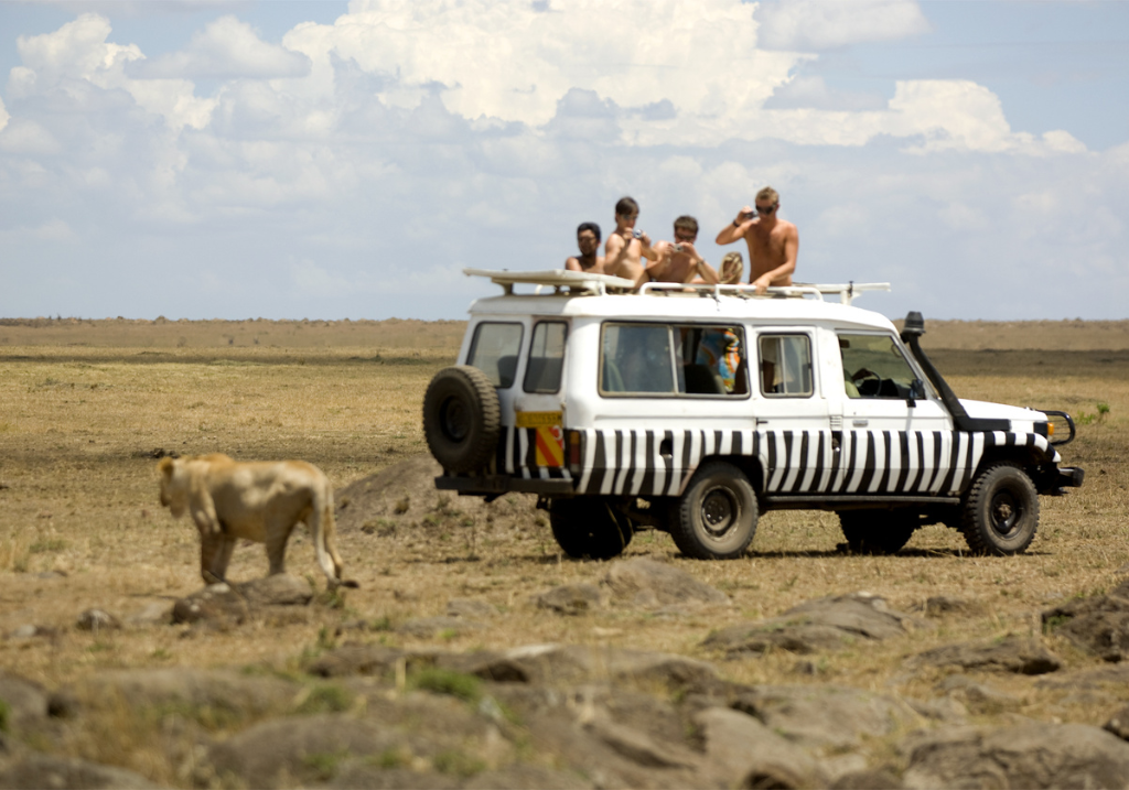 MASAI MARA FULL DAY